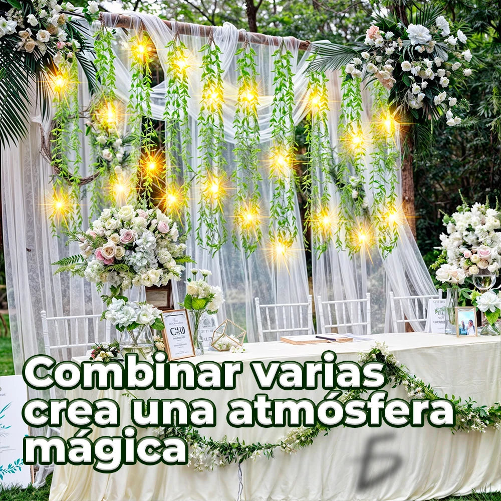 USB-Cabled Warm LED String Light 10-Arm Decorative Lighting