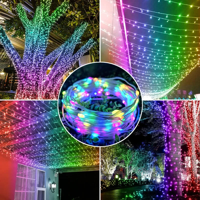 Etop Custom 3 Lines Seed Light DC12V Fairy String Lighting Waterproof Decorative Lights for Christmas Decoration Wedding Party