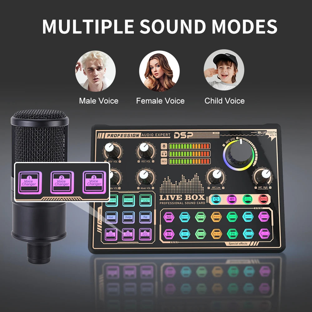Professional Podcast Equipment Recording Studio Live Broadcast with Noise Reduction for Live Streaming Record Podcasting