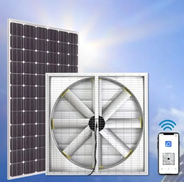 Hot Selling DC/AC 48-Inch Versatile Solar Aluminum Fan with 5 Years Warranty Energy-Efficient for Market Factories & Greenhouse