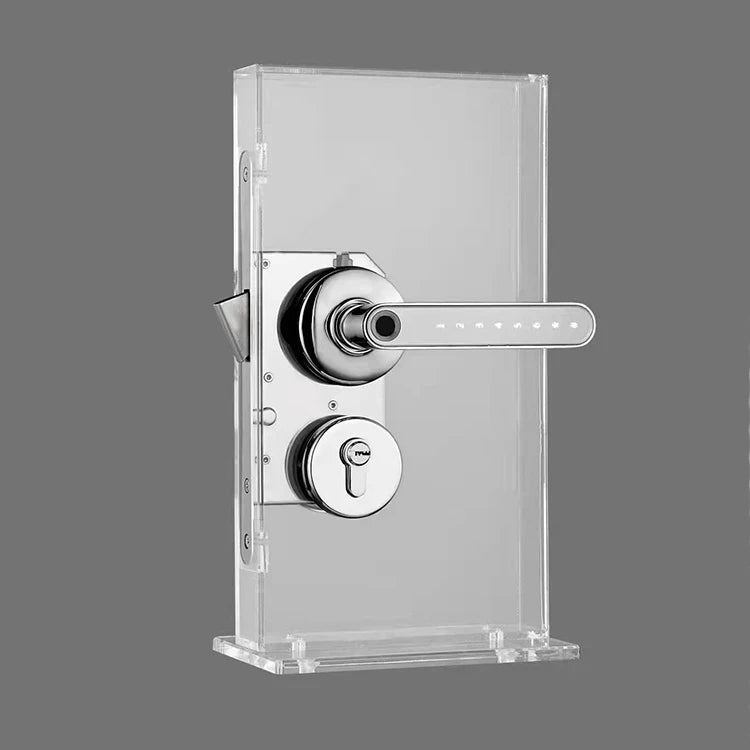 Fingerprint Electric Handle Lock IELOCK Smart Home Door Lock Biometric Fingerprint Lock for Wooden Door