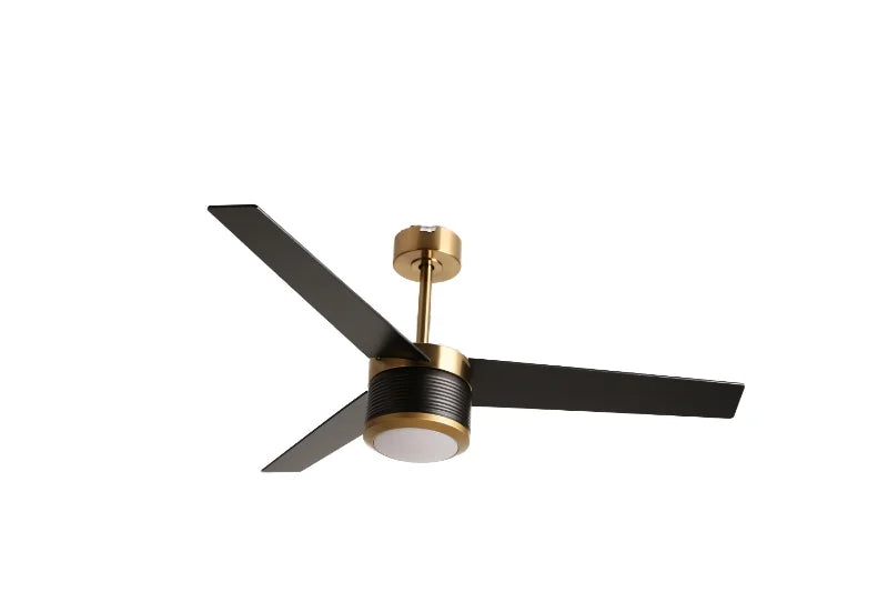 Energy Efficient Modern Home Appliance Decoration Variable Frequency Silent Remote Control Three-Blade Fan Light Electric Power