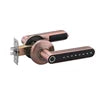 Fingerprint Electric Handle Lock IELOCK Smart Home Door Lock Biometric Fingerprint Lock for Wooden Door