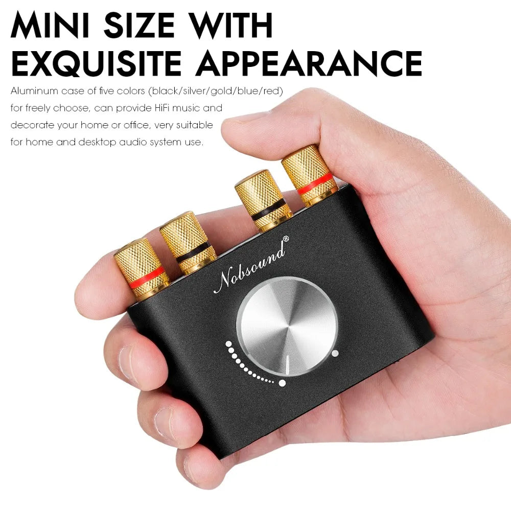 Douk Audio HiFi Bluetooth 5.0 Power Amplifier Mini TPA3116 Digital Class D Desk Stereo Audio Amp for Home Car 50W + 50W