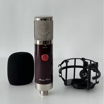 BAIFEILI V81S Professional Portable XLR Studio Condenser Microphone Desktop Stage Instrumental Mic for  Karaoke and Podcast