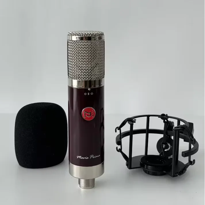 BAIFEILI V81S Professional Portable XLR Studio Condenser Microphone Desktop Stage Instrumental Mic for  Karaoke and Podcast