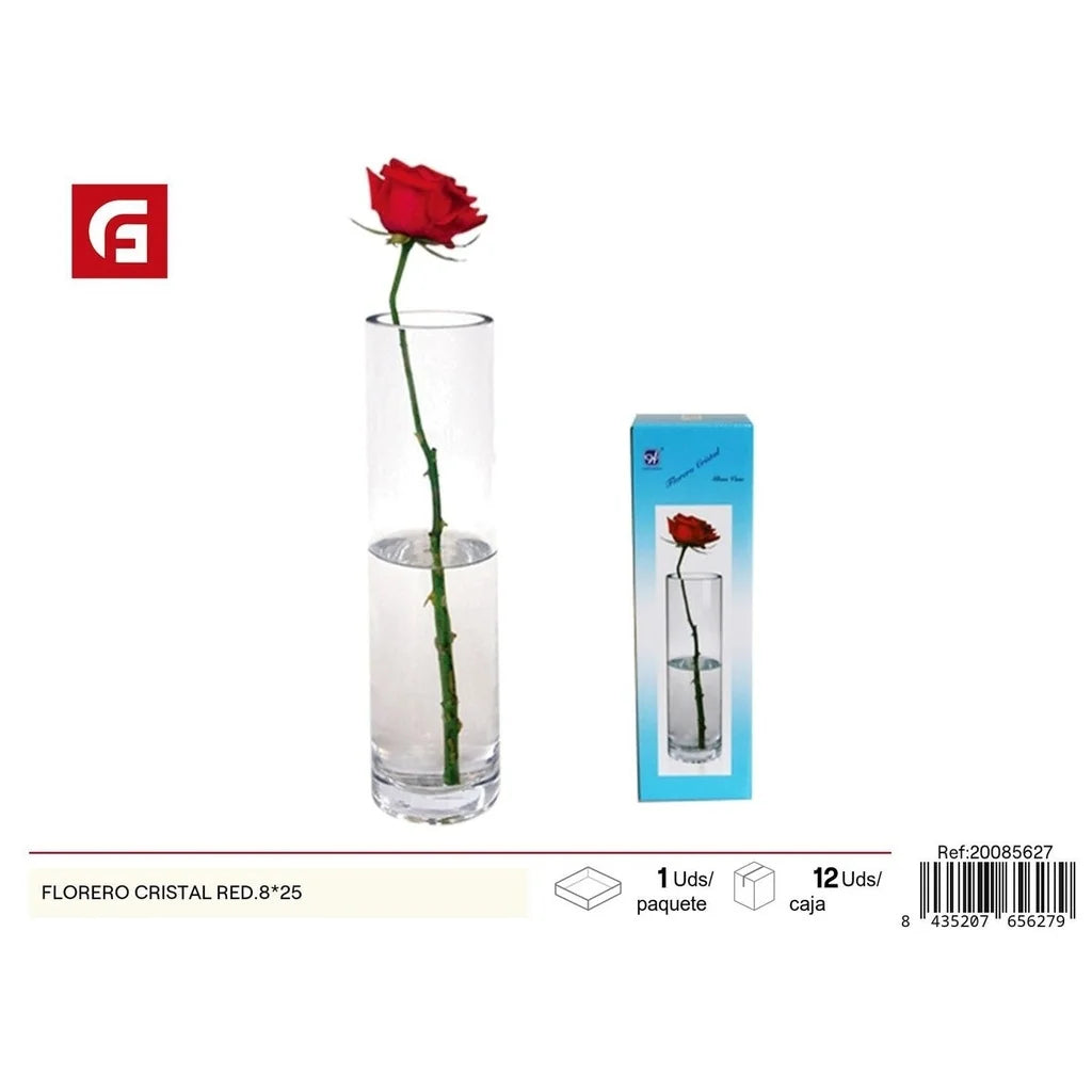 Glass vase 8x25 cm - Decorative items