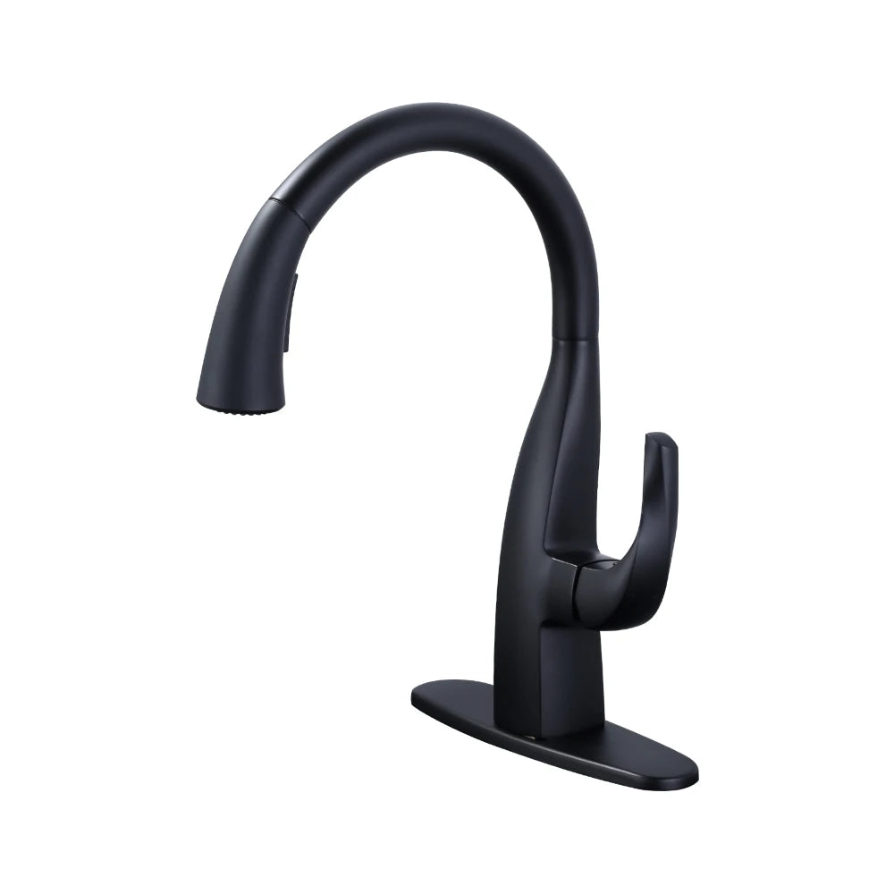 Matte Black Kitchen Water Faucets with Pull Down Sprayer Laundry Sink Faucet Single Handle Gooseneck Pull Out Kitchen Faucets