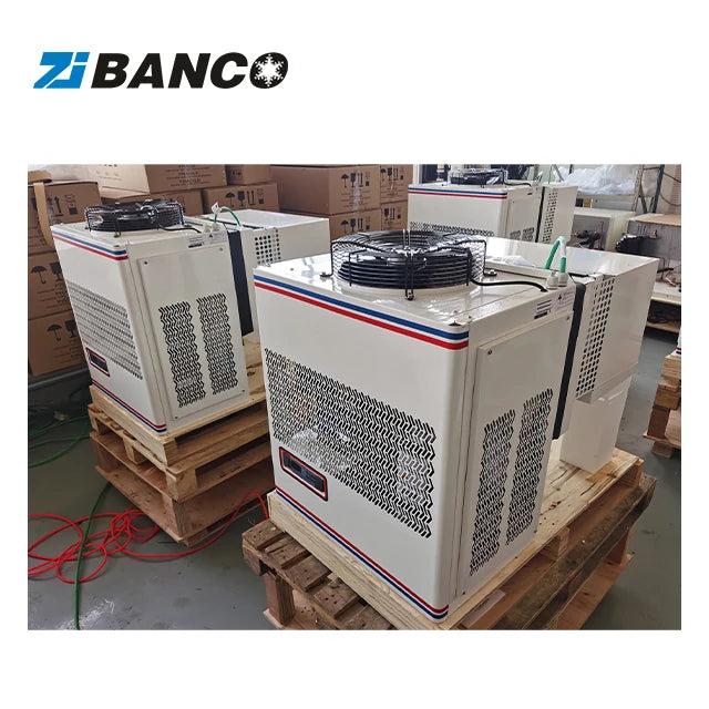Ceiling Mounted Energy Saving Condenser Unit for Refrigeration Small Cold Rooms Monoblock Design 0.75HP-4HP Cooling Capacity