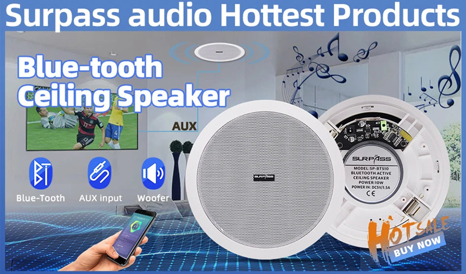 Home and Commercial Caixa De Som Bluetooth Speaker Active and Wired Ceiling Speaker Background Music Stereo for Home Theater 10W