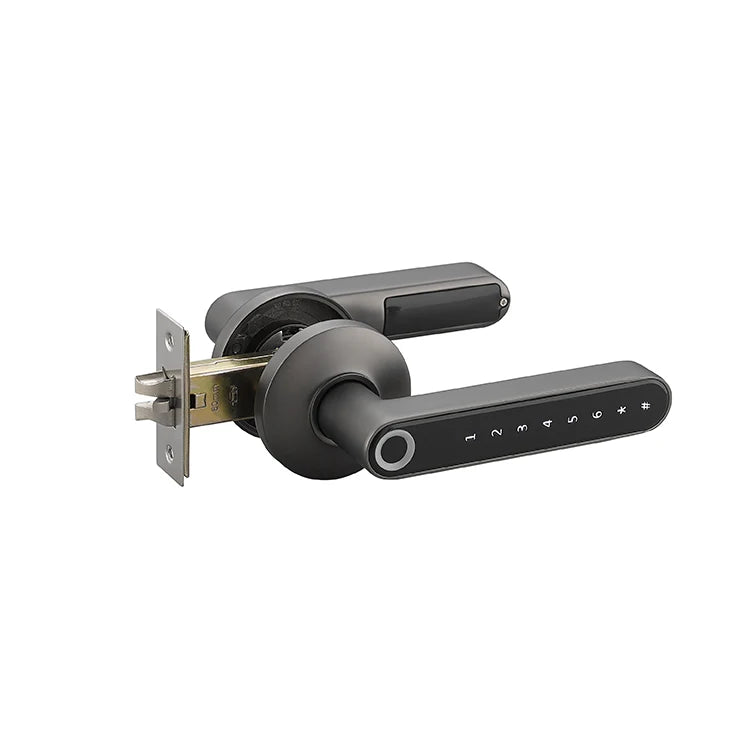 Fingerprint Electric Handle Lock IELOCK Smart Home Door Lock Biometric Fingerprint Lock for Wooden Door