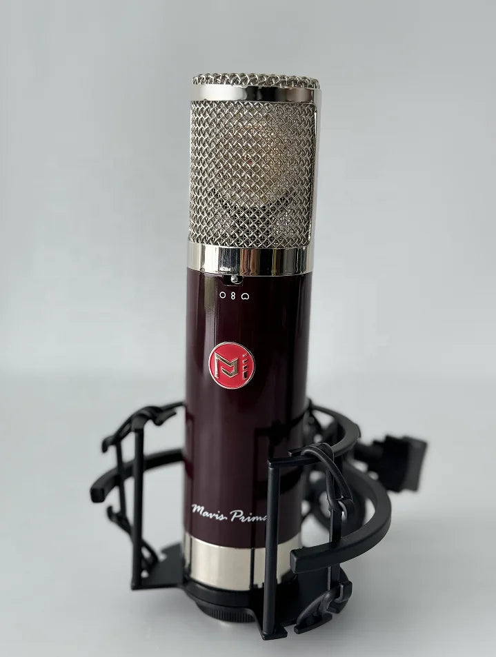 BAIFEILI V81S Professional Portable XLR Studio Condenser Microphone Desktop Stage Instrumental Mic for  Karaoke and Podcast