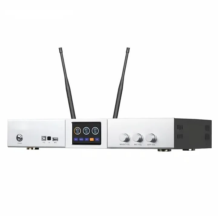 Berase  Customize KS-400110V-240V Home Karaoke Professional  Digital Power Amplifier With MIC/Remote/DSP Processor