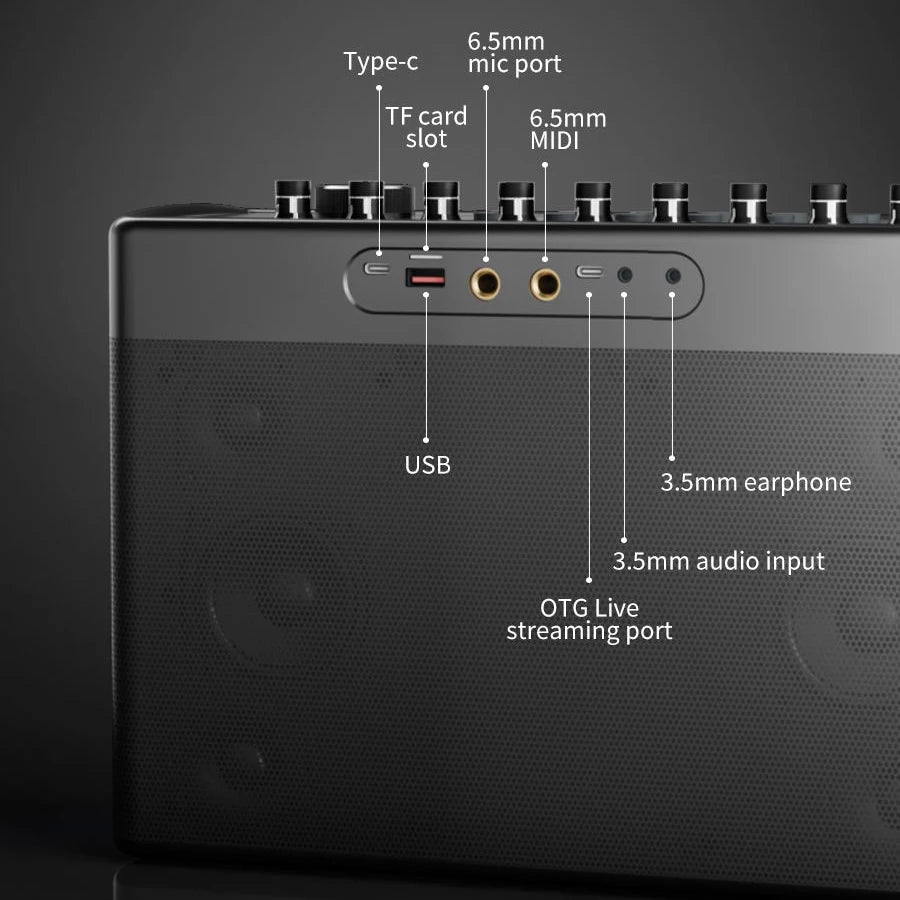 SODLK S1127 PLUS 300W Karaoke Machine Outdoor Portable Speaker With 2 Wireless Microphones Supports AUX MIC OTG Live for Party