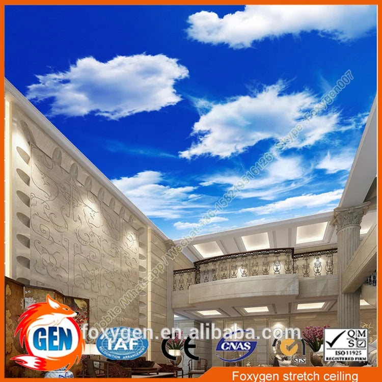 Pop Ceiling Design Pvc False Ceiling Panel Stretch Ceiling Film for Hall Wall Decor