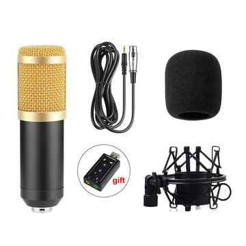 YALIMIC BM-800 Metal Condenser Microphone for Computer Use Sound Recording Radio Broadcasting Singing with Shock Mount