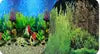 Aquarium Background Poster Fish Tank Double SIDE Coral Rock Landscape Poster Wall Decor 30cm-100cm