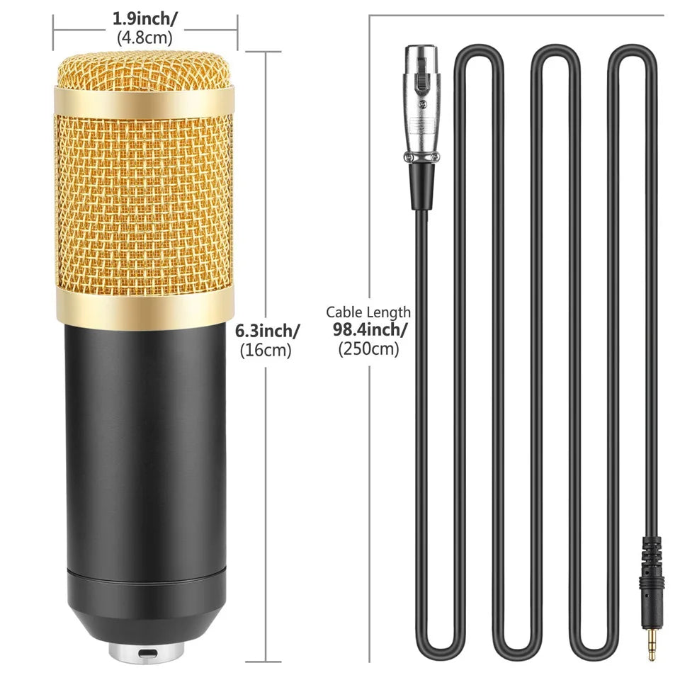 YALIMIC BM-800 Metal Condenser Microphone for Computer Use Sound Recording Radio Broadcasting Singing with Shock Mount