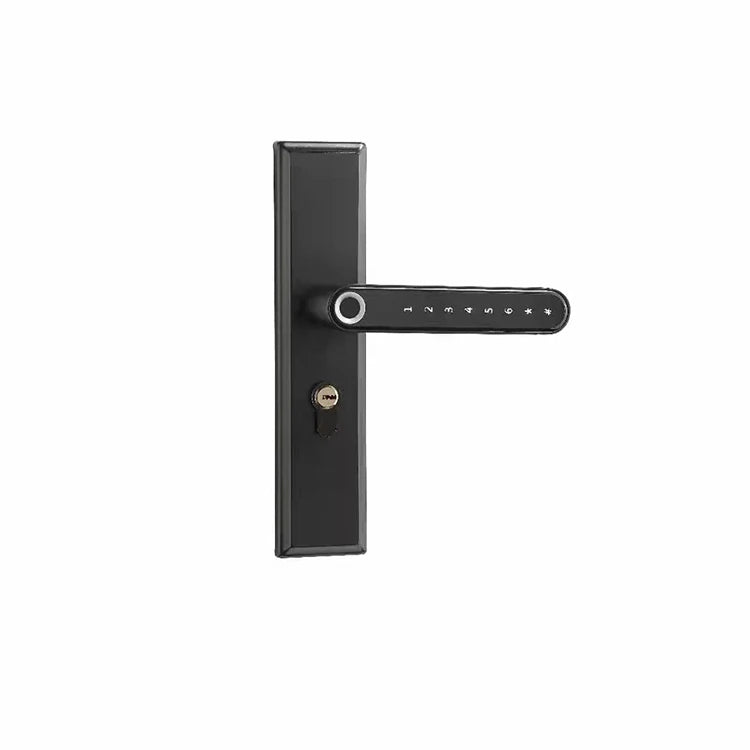 Fingerprint Electric Handle Lock IELOCK Smart Home Door Lock Biometric Fingerprint Lock for Wooden Door