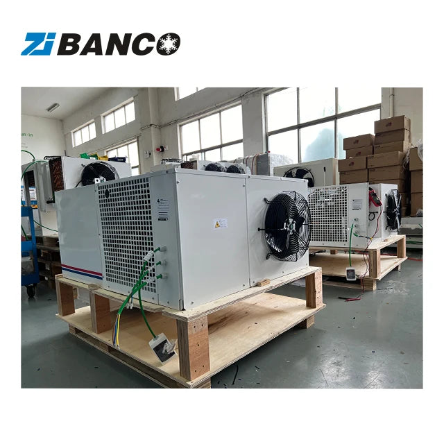 Ceiling Mounted Energy Saving Condenser Unit for Refrigeration Small Cold Rooms Monoblock Design 0.75HP-4HP Cooling Capacity