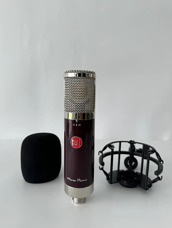 BAIFEILI V81S Professional Portable XLR Studio Condenser Microphone Desktop Stage Instrumental Mic for  Karaoke and Podcast