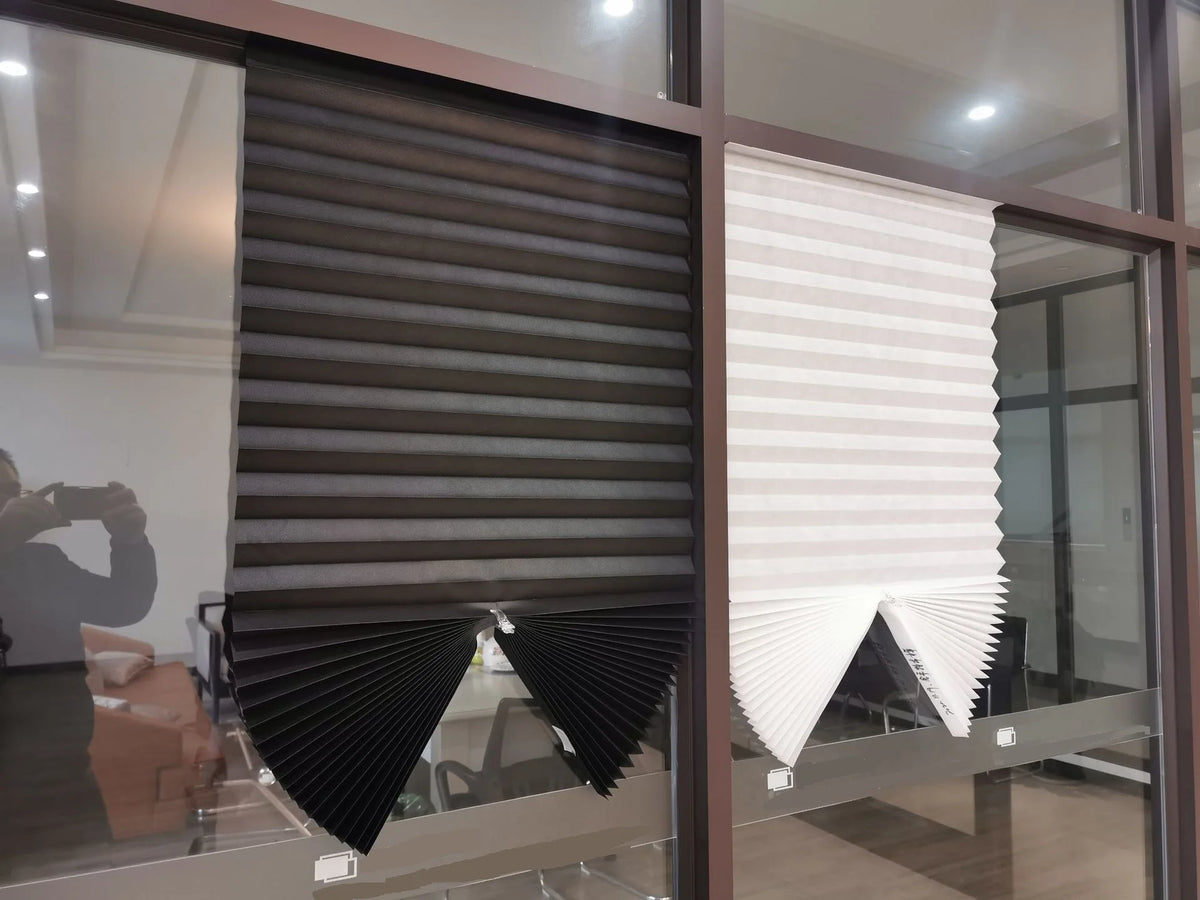 Easy to Install Light Filtering Pleated Paper Shades for Window Temporary and Portable Blinds with Clips Roman Zebra