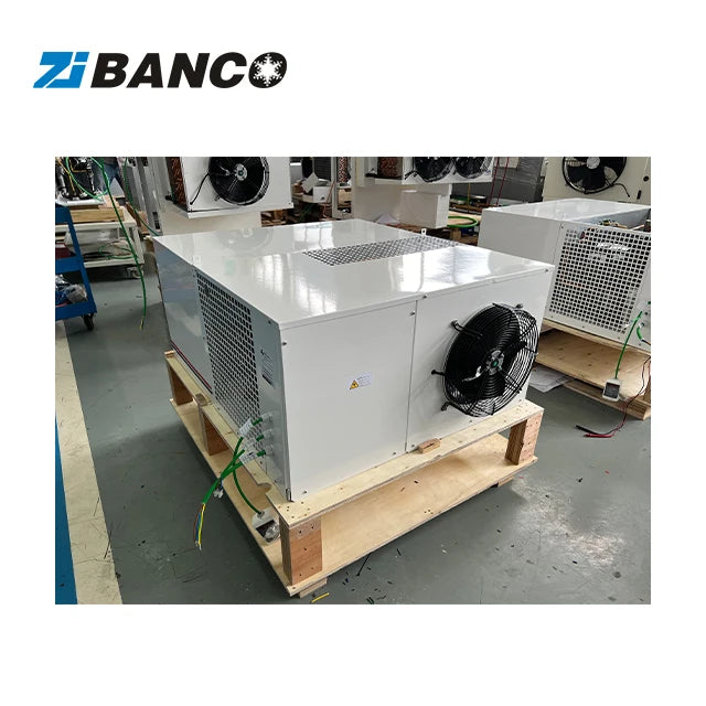 Ceiling Mounted Energy Saving Condenser Unit for Refrigeration Small Cold Rooms Monoblock Design 0.75HP-4HP Cooling Capacity