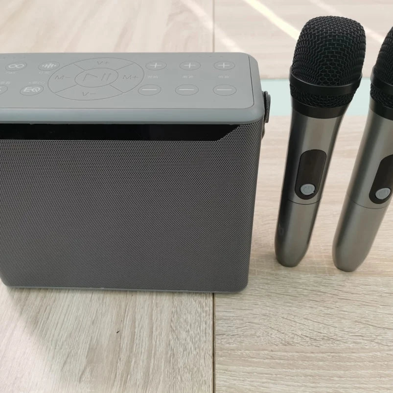 Professional Karaoke Bluetooth Speaker with Microphone Powerful Portable PA System with Subwoofer for Outdoor Party and Home Use