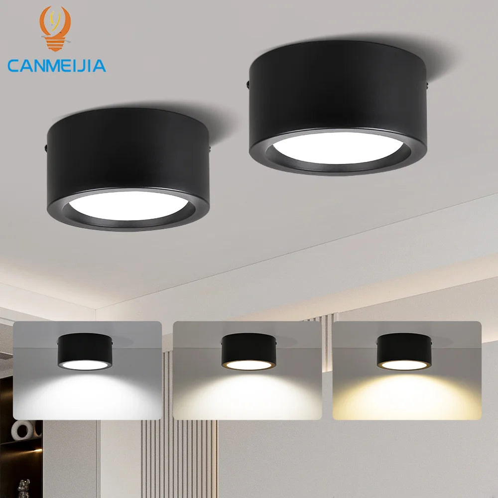 For Home Shop Hotel Commercial Adjustable Light Color Surface Mounted Ceiling Led Downlight,Led Down Light,Downlights
