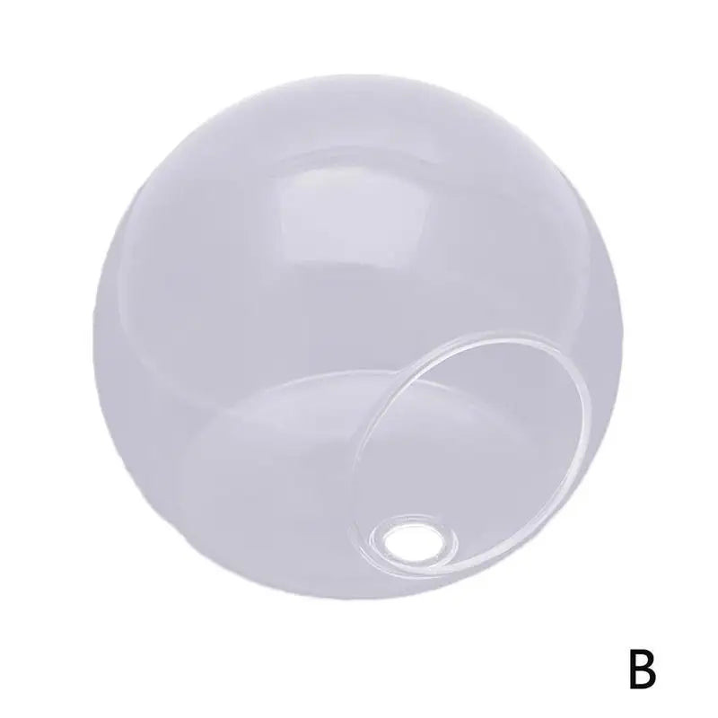 Wall Mounted Hydroponic Vase Betta Fish Tank Creative Acrylic Planter For Home Office Wall Decoration Space Saving Tools