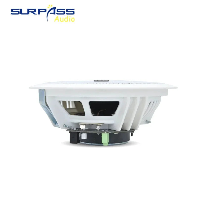 Home and Commercial Caixa De Som Bluetooth Speaker Active and Wired Ceiling Speaker Background Music Stereo for Home Theater 10W