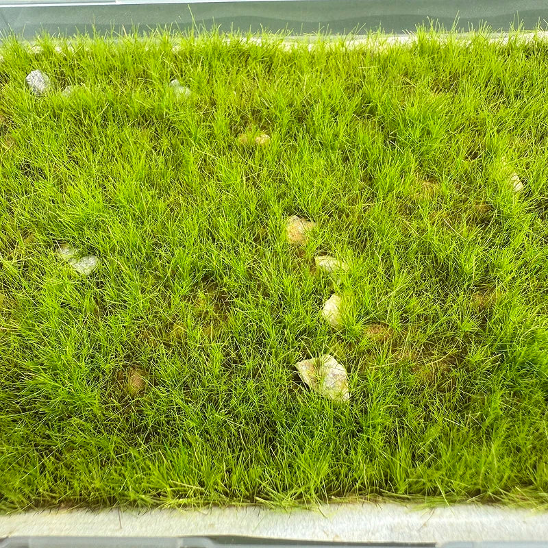 11*15cm Model Grass Turf With Stone Lawn Model Material Micro Landscape Platform Diy Material 1/64 Scale Train Railway Layout