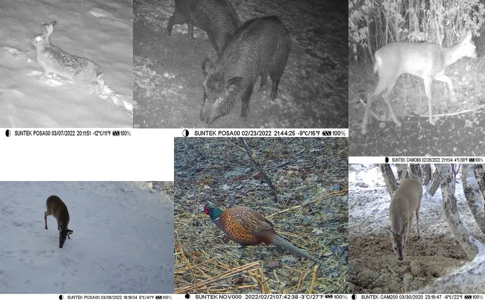 4K 30fps Trail Camera with APP Control Cloud Service 4G 30MP Live Stream Night Vision Wild Hunting Photo Trap HC910PRO