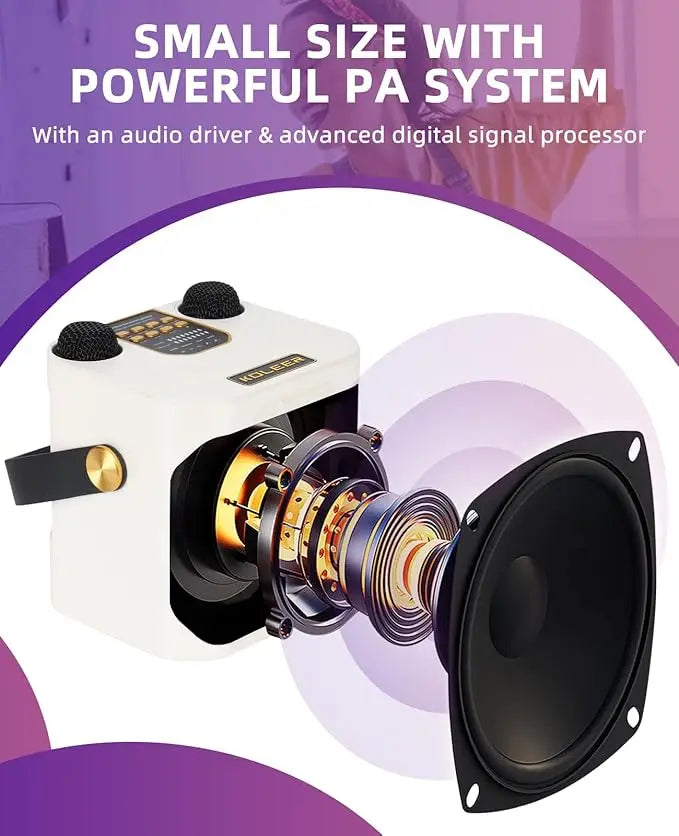 High Power Karaoke Bluetooth Speaker Portable 360 Stereo Surround Waterproof Wireless Subwoofer with 2 Mic Boombox music player