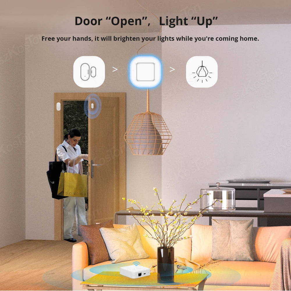 Smart Home ZigBee 3.0 Wired Gateway Hub eWeLink APP Control RJ45 Ethernet Bridge Works with Home Assistant Tasmota Zigbee2MQTT
