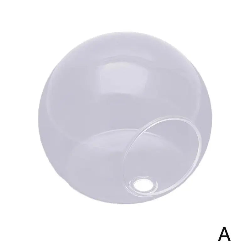 Wall Mounted Hydroponic Vase Betta Fish Tank Creative Acrylic Planter For Home Office Wall Decoration Space Saving Tools