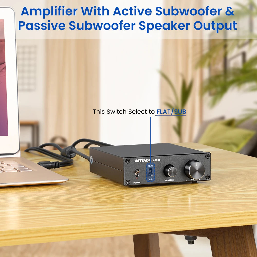 AIYIMA Audio A3001 TPA3255 300W Subwoofer Amplifier HIFI Mono Power Class D Digital AMP for Passive Speaker Home Theater DIY