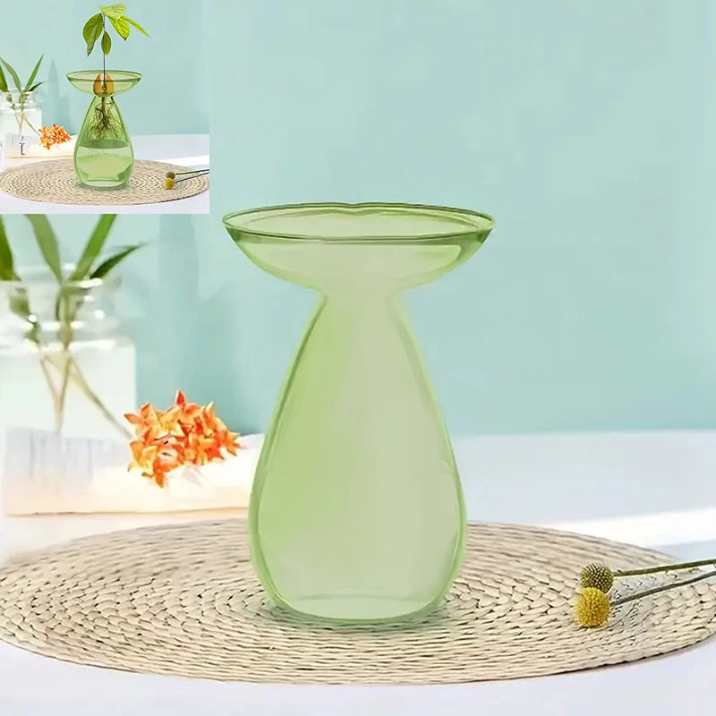 Colorful Transparent Avocado Hydroponic Vase Glass Avocado Seed Starter Vase Plant Seed Growing Kit Gardening Lovers Home Decor