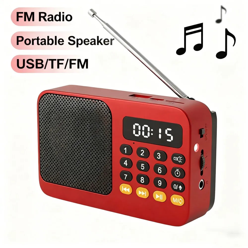Bluetooth 5.0 FM Radio Portable Speaker with LED Light Support Recording TF Card USB Play Wireless Speaker Radio FM Receiver