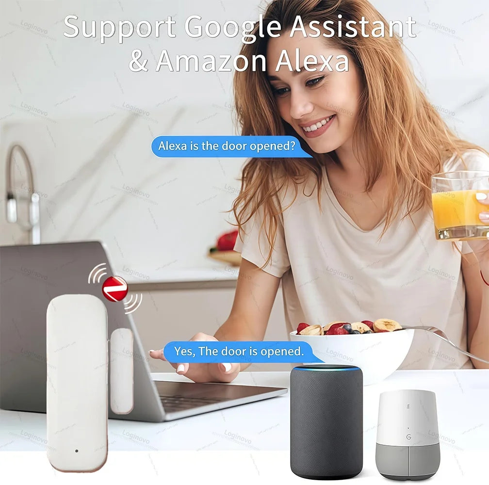 Zigbee Door Window Entry Sensor Security Burglar Magnetic Alarm Smart Life Contact Detector For Alexa Google Home Tuya Z2M