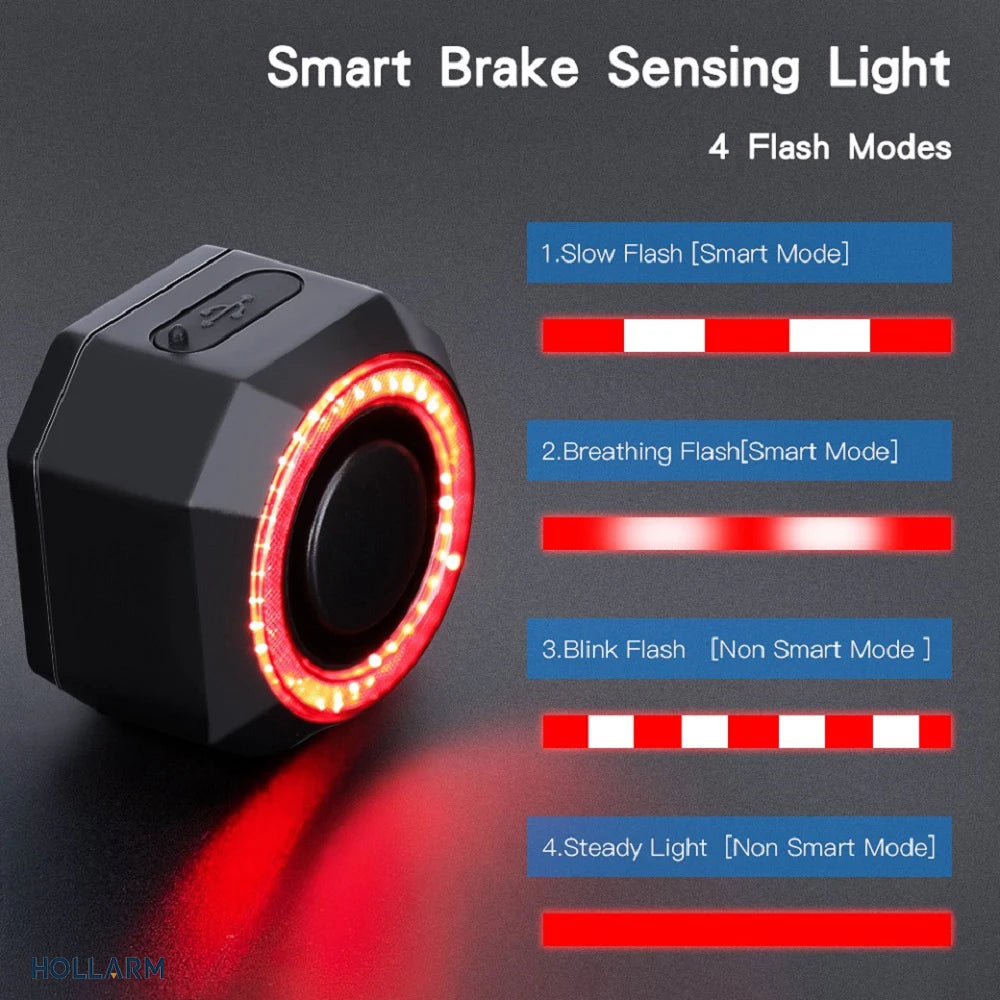 Hollarm Smart Bike Taillight Alarm Anti Theft Burglar Bicycle Light Alarm USB Charge Smart Brake Sensing Remote Control Tail Lam