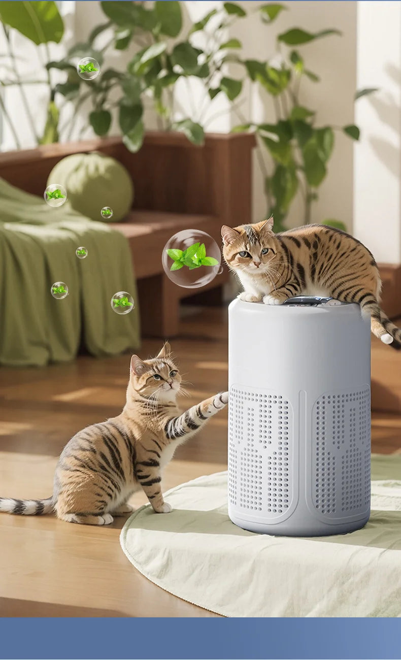 TINSOL New Mini Air Purifier HEPA Filter uses negative ion technology to eliminate formaldehyde odors smoke and dust particles