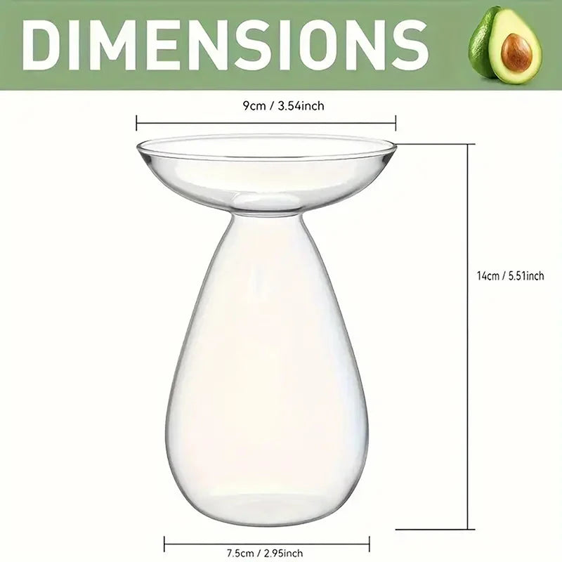 Colorful Transparent Avocado Hydroponic Vase Glass Avocado Seed Starter Vase Plant Seed Growing Kit Gardening Lovers Home Decor