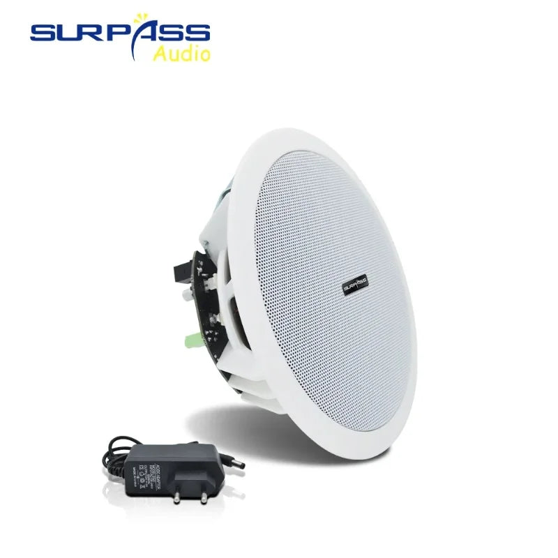 Home and Commercial Caixa De Som Bluetooth Speaker Active and Wired Ceiling Speaker Background Music Stereo for Home Theater 10W