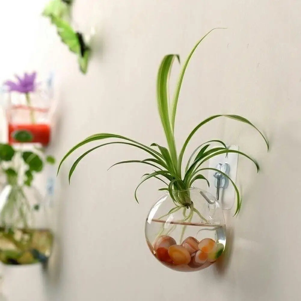 Wall Mounted Hydroponic Vase Betta Fish Tank Creative Acrylic Planter For Home Office Wall Decoration Space Saving Tools