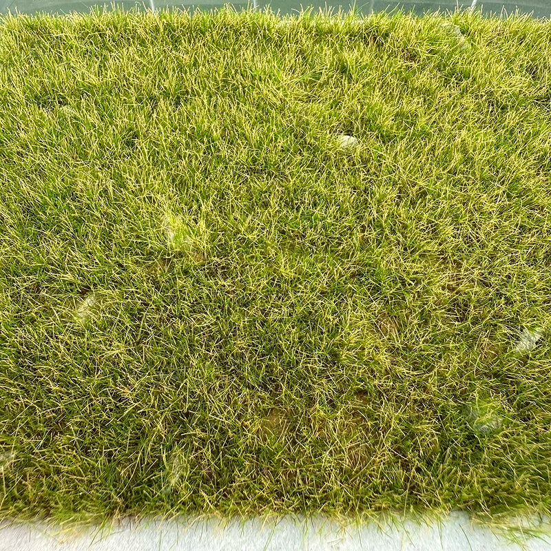 11*15cm Model Grass Turf With Stone Lawn Model Material Micro Landscape Platform Diy Material 1/64 Scale Train Railway Layout