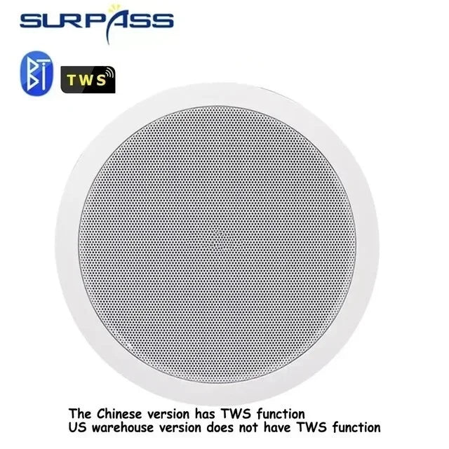 Home and Commercial Caixa De Som Bluetooth Speaker Active and Wired Ceiling Speaker Background Music Stereo for Home Theater 10W