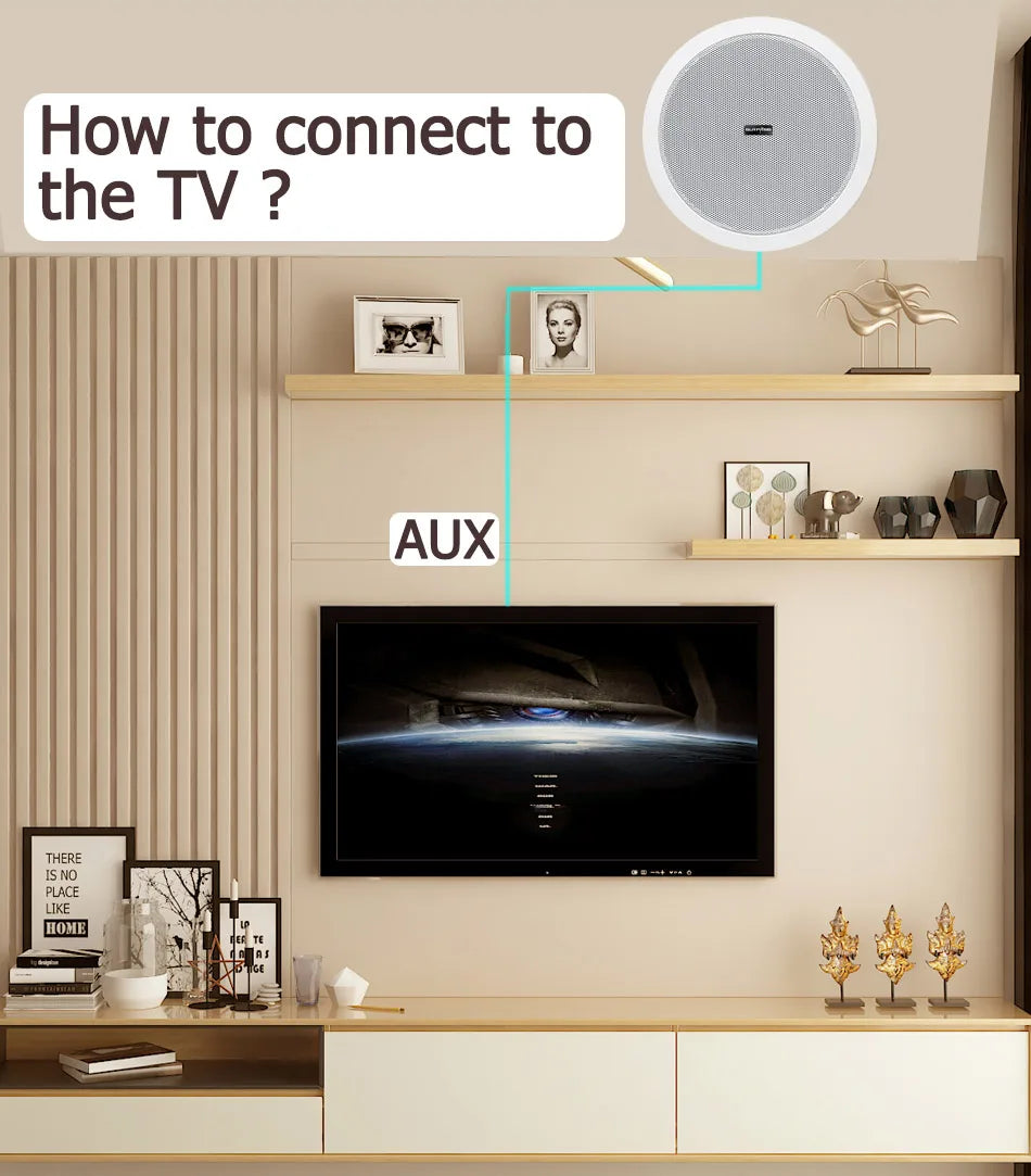 Home and Commercial Caixa De Som Bluetooth Speaker Active and Wired Ceiling Speaker Background Music Stereo for Home Theater 10W