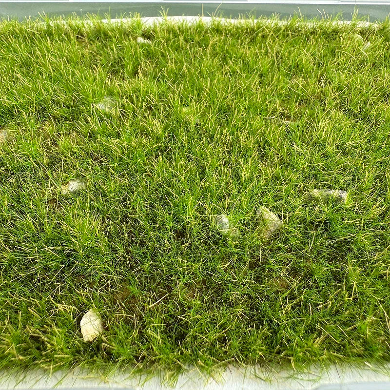 11*15cm Model Grass Turf With Stone Lawn Model Material Micro Landscape Platform Diy Material 1/64 Scale Train Railway Layout