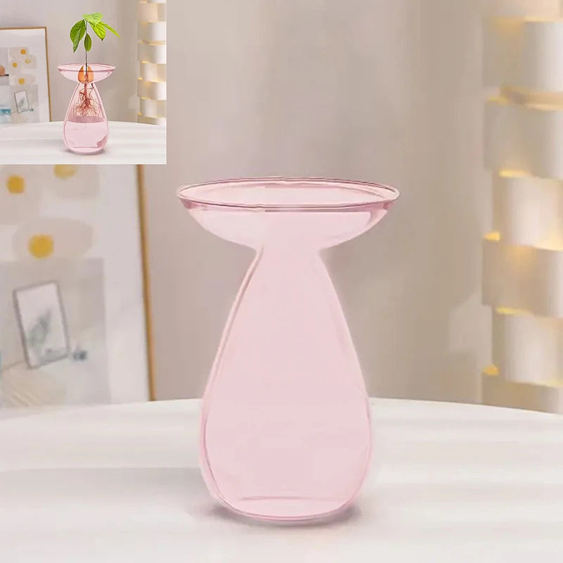 Colorful Transparent Avocado Hydroponic Vase Glass Avocado Seed Starter Vase Plant Seed Growing Kit Gardening Lovers Home Decor